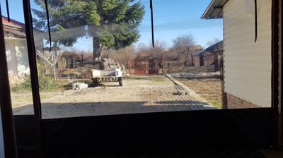 View from inside looking out through a window at a yard with a large tree, a small trailer, and a red metal gate.