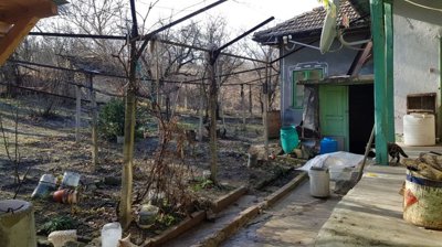 Yard space featuring garden beds, leafless trees, and a small building with green painted door and window frames