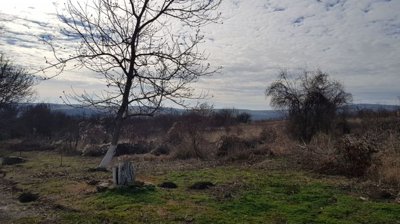 A large open piece of rural land featuring scattered leafless trees and patches of green grass under a cloudy sky.