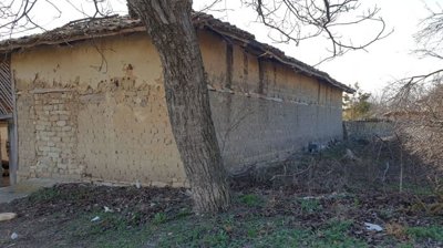Side perspective of a mud brick outbuilding with wooden structural beams and a tree in the foreground