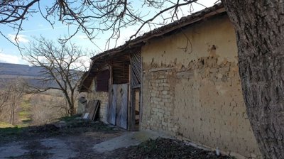 Close view of a mud brick outbuilding with wooden doors and a large tree trunk in front