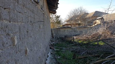 View of an overgrown garden area with dry vegetation and houses visible in the distance