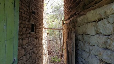 Narrow gap between stone walls showing a wooden door and overgrown vegetation beyond the opening.