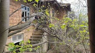 Old brick house exterior showing concrete stairs and leafy trees around the building