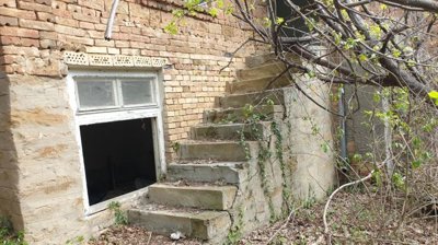 Concrete stairs covered with leaves and plants leading to a door on the brick house