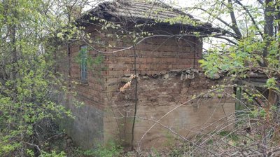 Side exterior of an old brick house with tiled roof and trees around