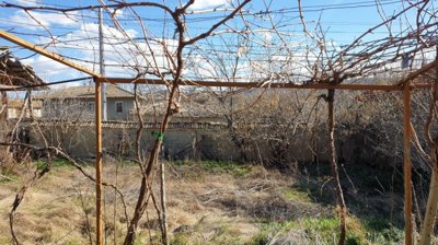 Garden space featuring grapevine trellis and enclosed by a wall