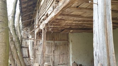 Covered wooden porch with supporting beams surrounded by leafless trees