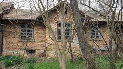 Front view of a two-storey brick house partially obscured by bare trees