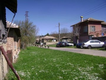 A village street scene showing grass verge, several parked cars, houses, and a herd of goats walking along the road.
