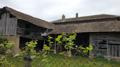 View of traditional wooden barns with tiled roofs, partially enclosed by a wire fence and surrounded by greenery.