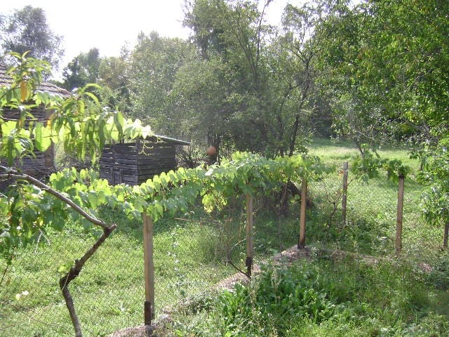Image No.19-1 Bed House for sale