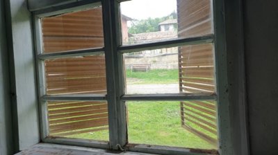 Looking out through a window with wooden shutters to the grassy garden area outside