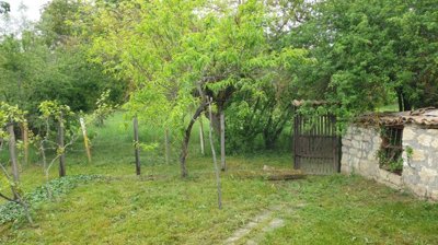 Grassy garden area featuring fruit trees and enclosed by a wire fence with wooden posts