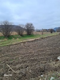 Ploughed field bordered by leafless trees and a small shed visible in the distance with hills beyond.