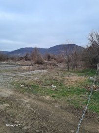 Open land area with sparse grass, dirt paths, and leafless trees with hills in the background.