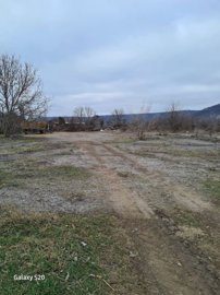 Open dirt and gravel land with scattered bare trees and a hay wagon parked on the left side under a cloudy sky.