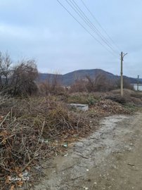 A dirt road bordered by piles of dry branches and leaves with bare trees and hills visible in the background.