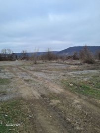Open dirt and gravel land with scattered bare trees and bushes under a cloudy sky.