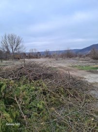 Piles of dry branches and green foliage lie next to an open dirt and gravel area with bare trees in the distance.