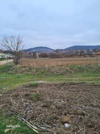 A ploughed field with a grass border and scattered bare trees under a cloudy sky.