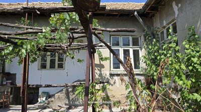 House wall featuring windows and a wooden pergola structure with vines growing on it