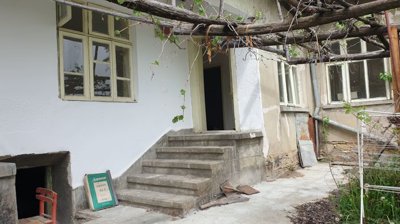 Concrete steps provide access to the house with windows and grapevine trellis visible.