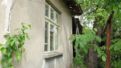Plastered side wall of the house with windows and surrounding tree branches.
