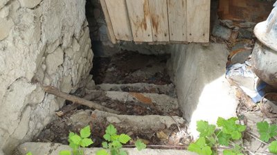 Stone steps descend to a cellar entrance beneath the house.