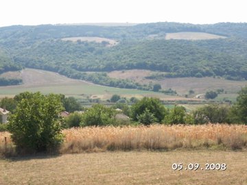 Dry grassy field featuring a single tree in the foreground and hills in the distance.