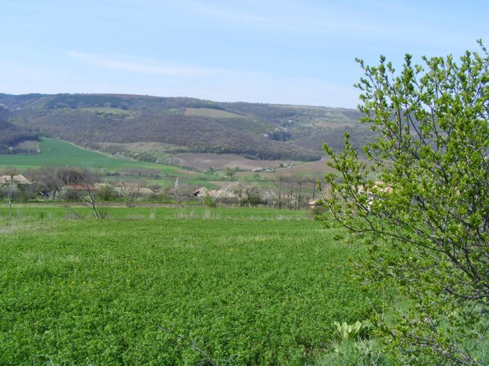 Image No.18-Terre à vendre à Zahari Stoyanovo