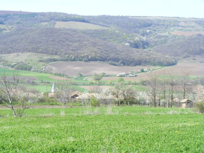 Image No.26-Terre à vendre à Zahari Stoyanovo