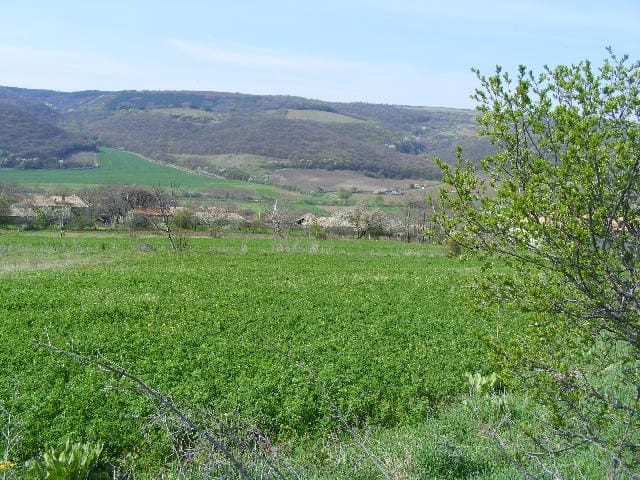 Image No.3-Terre à vendre à Zahari Stoyanovo