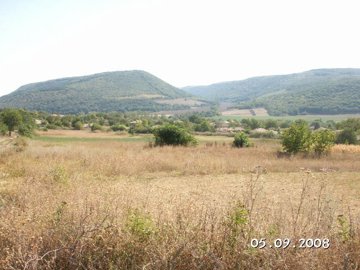Dry field with scattered bushes and forested hills in the distance