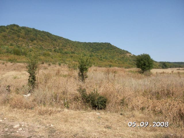 Image No.8-Terre à vendre à Zahari Stoyanovo