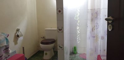 Bathroom featuring a toilet, shower area with curtain, and white tiled walls