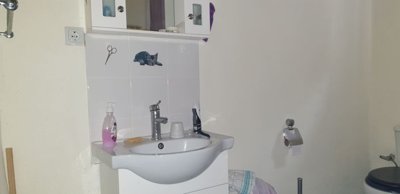 Bathroom sink with mirror cabinet above, soap dispenser, and toilet paper holder visible