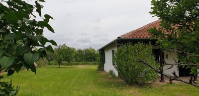 White house featuring a wooden veranda and a garden with flowers and grass