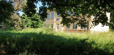 View of the former school building with yellow exterior walls and multiple windows, surrounded by tall grass and trees