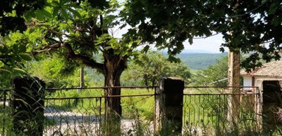 View through a metal gate and stone pillars showing green trees and distant hills under a clear sky