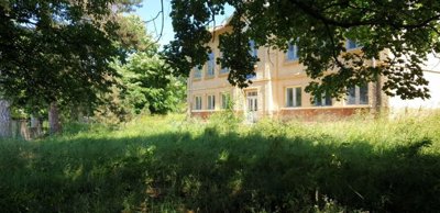 Two-storey former school building with yellow exterior, partially shaded by trees and surrounded by overgrown grass