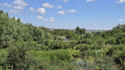 Dense green bushes and trees surround a small water pond under a partly cloudy blue sky.