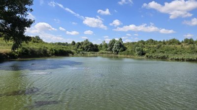 Water pond surrounded by green vegetation and trees under a partly cloudy sky.