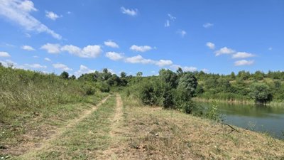 Grassy dirt path beside a fishpond with dense green vegetation on both sides under a clear sky.