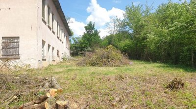 Yard area in front of the old school building featuring grass, trimmed bushes, and tree stumps