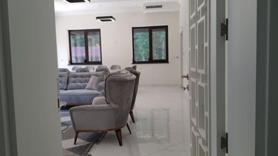 Spacious living room featuring grey sofas and armchairs with large windows overlooking the forest