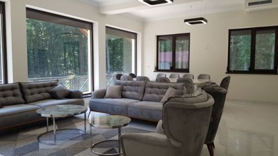 Open living and dining space with grey upholstered furniture and large windows revealing forest surroundings