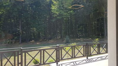 Balcony with metal railing providing a view of the surrounding forest and greenery