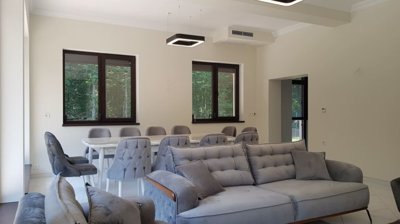 Bright open plan living and dining area featuring grey sofas, dining table, and large windows with forest views