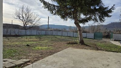 Garden area featuring young trees, grass, and a concrete path leading to the house